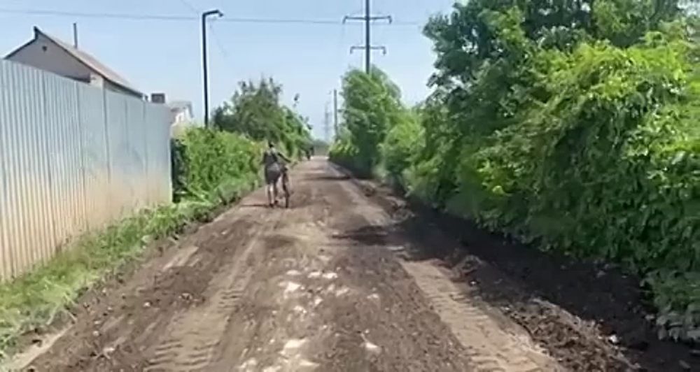 ������ ���������� �������� � ������� ������