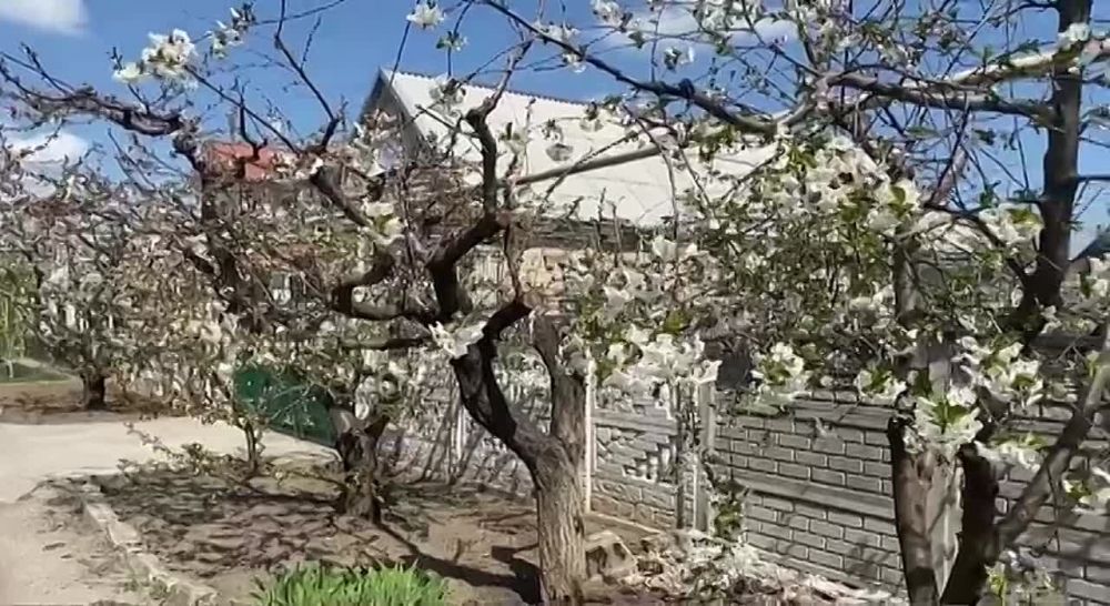 ��������� ����������� � ����������