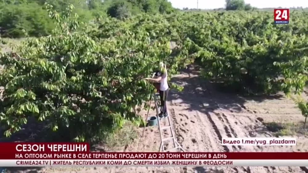 � ����������� ������� ������� ����� �������