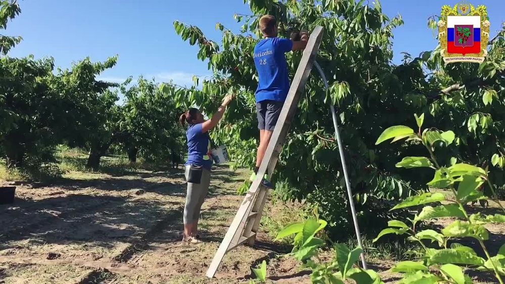 �� �������� ������. ���������� ����� �������� �� ���������� �������� � 2017 ����. ��� ��� ����� �� ������� �������, 1 ����� � ����. ������, ��������� ����� ��������� ������� ����������� �������������� ����� ������� ������� ������ � �������