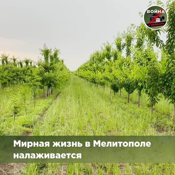 � ���������� ����� ������� �� ����������� ����������, � ������� ������� ��������� � �������� ������