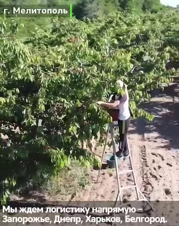 ���������� ����� ���������� ������� � ������, ��� � ���