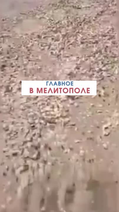� ���������� ��������� ������