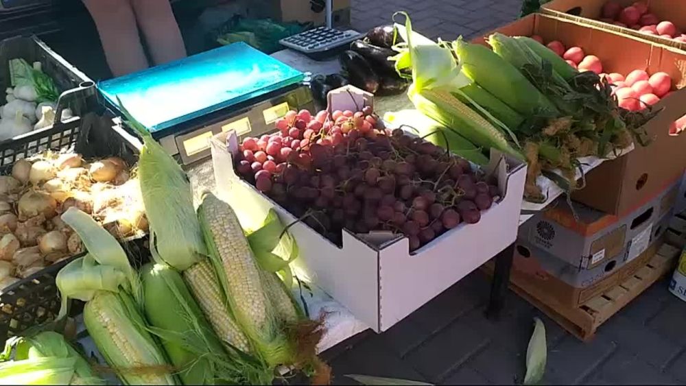 ����� 250 ���������������� ���������� ���� ��������� �� ��������� �������