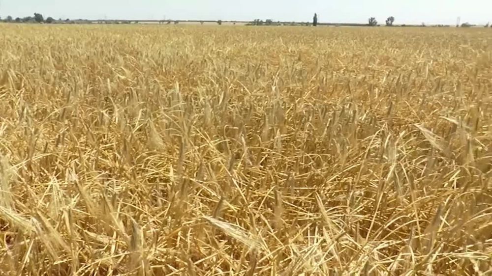 �������� ��� ��� ����� � ����� �������