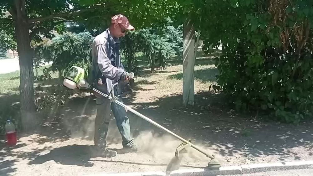 ������������ ����������� ��������������� �������
