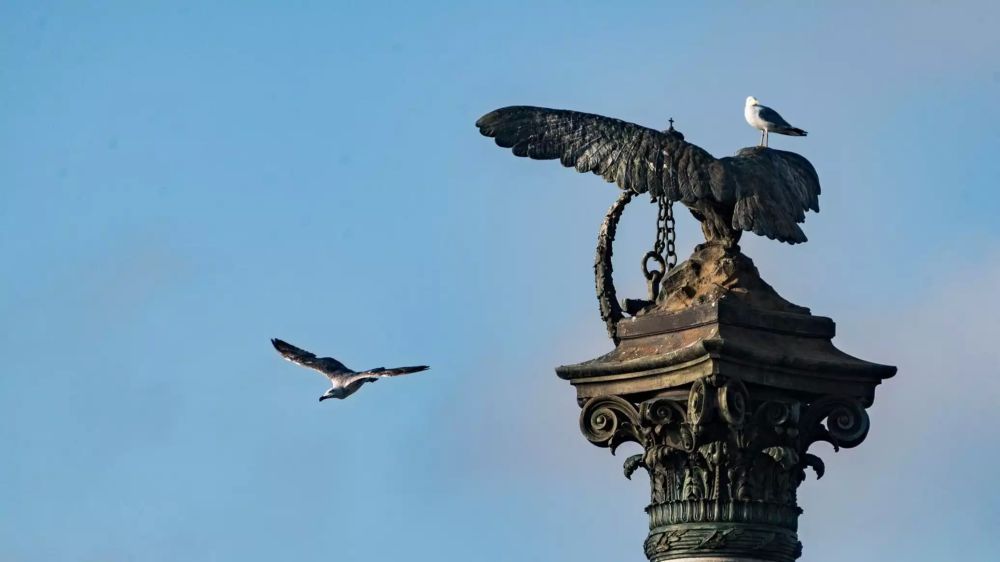 ����������� ���� ������� ��� �����������