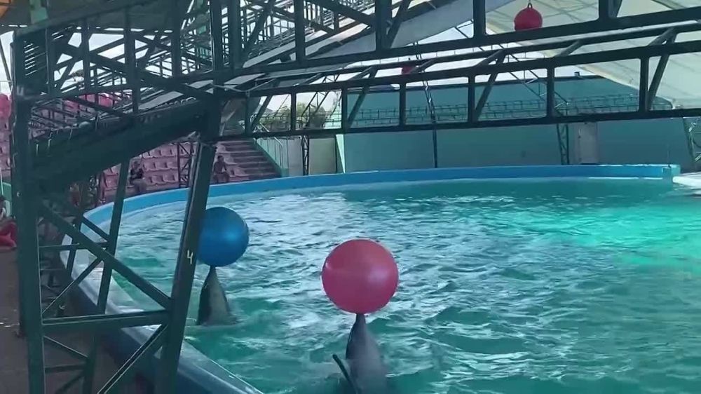 �������� - ���� �� ����� ���������� �������� �� ����� �������