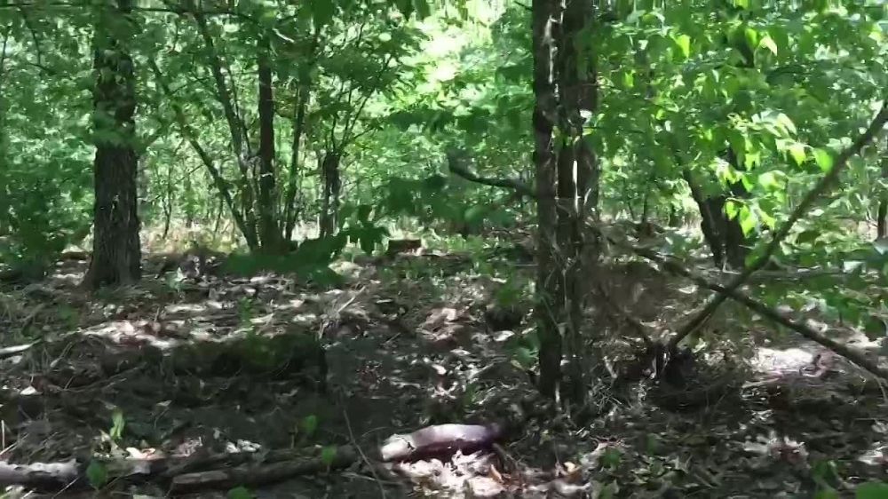 � ������ � ������������� �����������