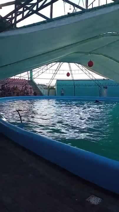 � ��� � ������� ������)))