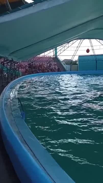 ������ � ����������� "�����" � ����� ���������� �������� ������ ��� ��� ����� �� ����������, ������� �������� � ������ ������