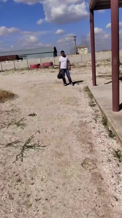 ���� - �� ������ ���������� �������, �� � ��������� ������ ������!