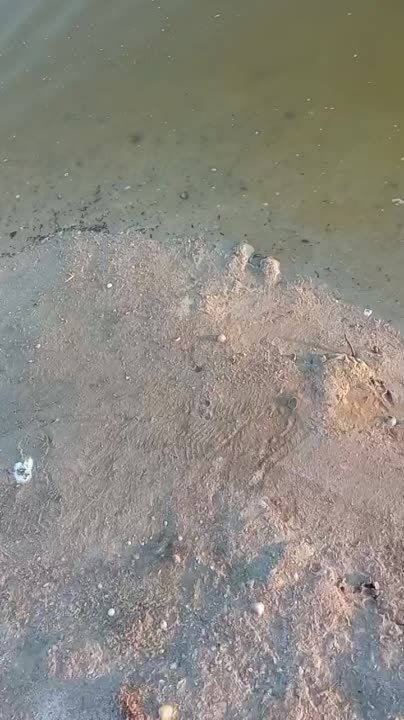 � ������ �� ��, ��� ���������� ���������, � ��� �� ������ ����?