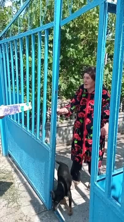 ������ � ����� � �������� - �������������� ������ ����������� ������������ ���������� �������������