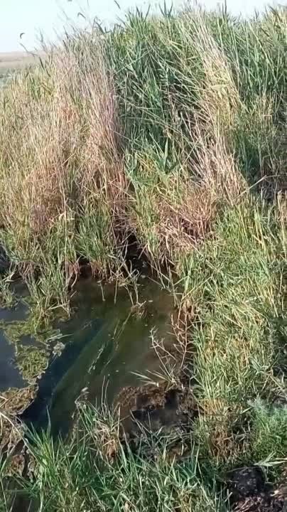 ���������� ������� �� ����� ������� ������� ��������� �� ����� ��������� �������...���������� ������� � ������� "�� ����")))
