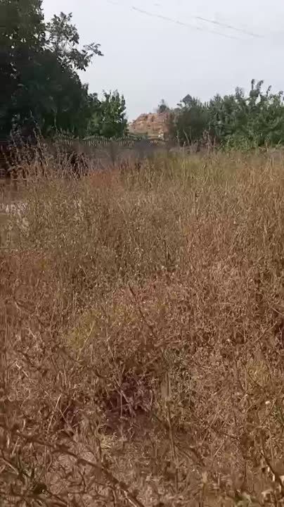 �������� �� ����� ����� -