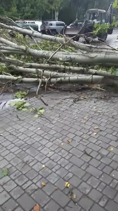 � ���������� �������� �����
