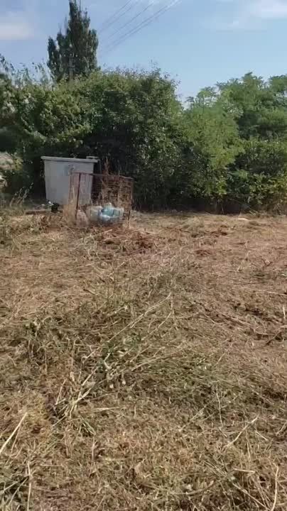 ������� ��� ��������� ����, ������� ����� � ����� �������� ���, ����� 16-00 � ���, ��� �� ��. ���������� �� ��������� ������� ��� ������� ������, � ����������� � �������� ���� ���� �������� �� �����, � ���������� ������� ��������?