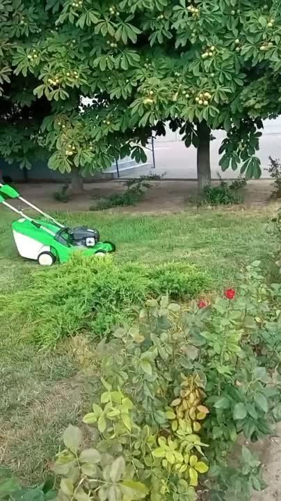 �������.. ������� ������� ����