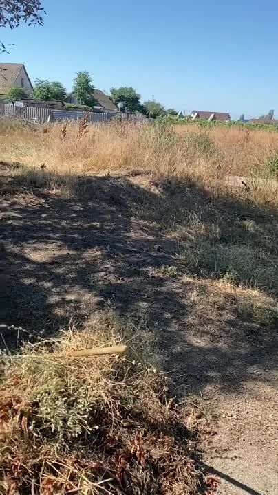 �������� ���� � ������ ������� ������ ����� ����� ������