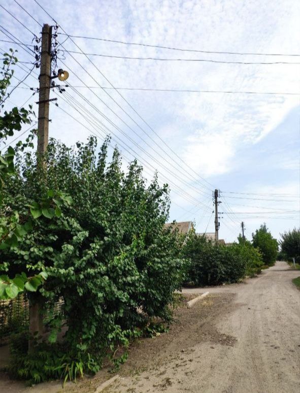 � �������� ����� ������������� ���������� ������ ����������� � �� ���� "������� �����" ��������� ������� �� ������������� ������������ ��������� �� ����� �������� ����� ���������, ����� ��������� � ����� ������� �������� �� ����� ������, 39