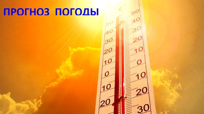 �������� ��������, ��� 15 ������� � �������������� � ���������� ����� ���������� ����������