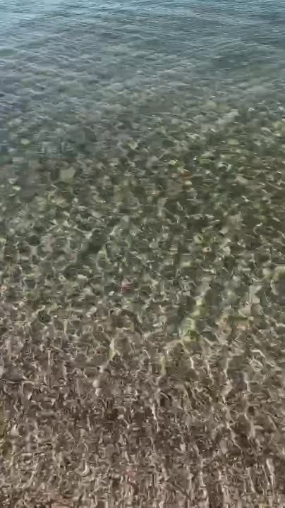 � ������� ��� ����....��� ���� �������� ����..