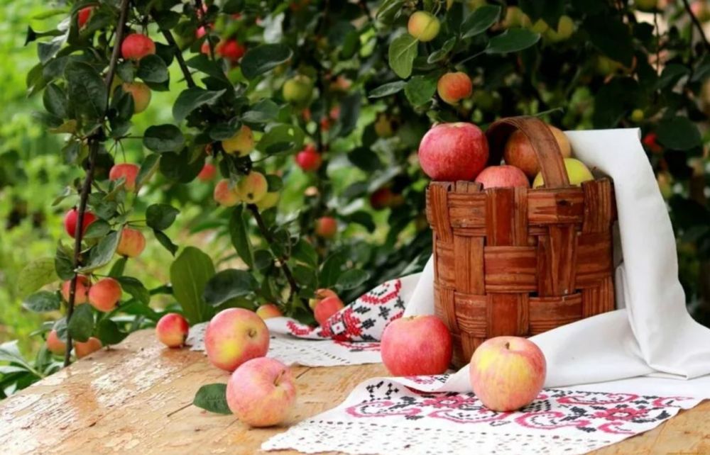 ������ �����������: ������� ������������, �������� ���������� ��� � ���������� � �������� ������!