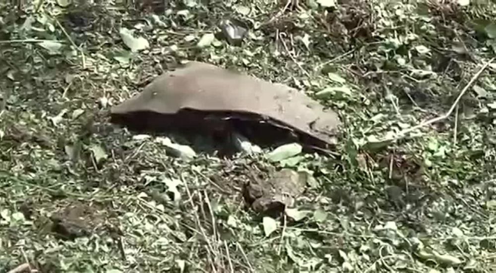 � ���������� ������������ ������ ���������� ���������