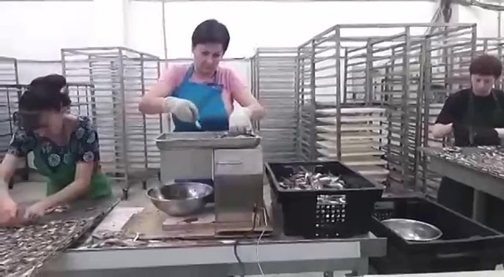 ������ � ����� � ��������� ������� �����!!!