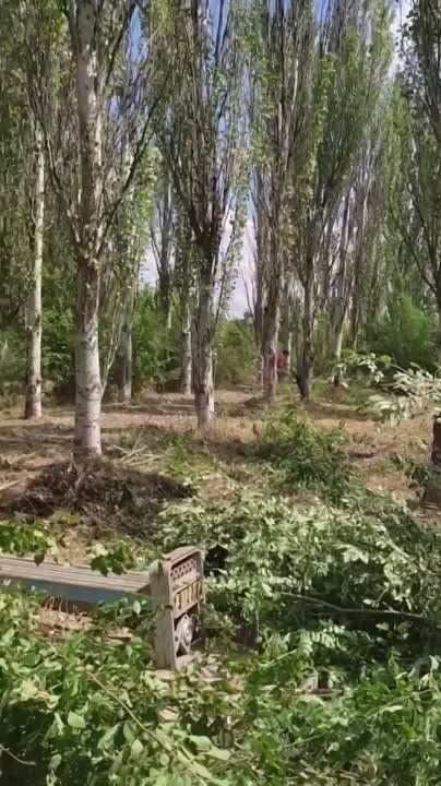 ����� ������� ��� ����� ����� ������������ ������! � ���� ��� ����� ��� ������������ ������ �� �� ������ ��������� ���������� ��������� ������� � ���� ���������