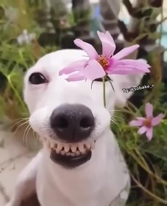 � ������ �����! ������������, ����������!))