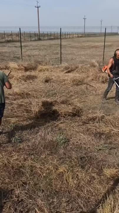 ������� � ������ ���������� �������������� � ������������� ��� "����"