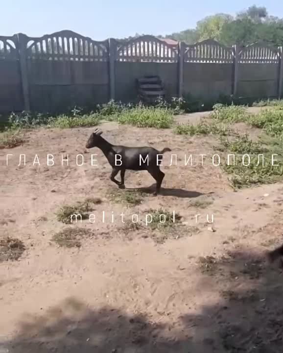 ��������� ������� ��������� ������� ������ � ����� �� ��������