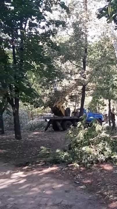 � ����� �������� ������ ���� ������ �� ������� ��������