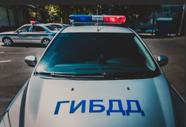 � ������ � 22 �� 28 ������� 2022 �. � ���������� � �������������� ������ ���������� ������ ��������� 31 ���������������� ���: