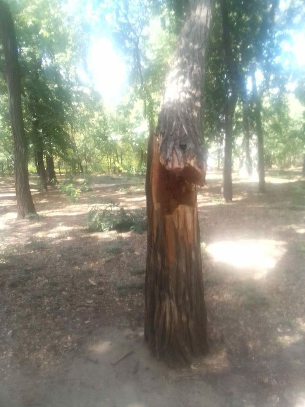 ������������� �������� ������ ������������� ��������� ������ � "��������" �� ��������� ������� ������������ ����� ��������� � ��������