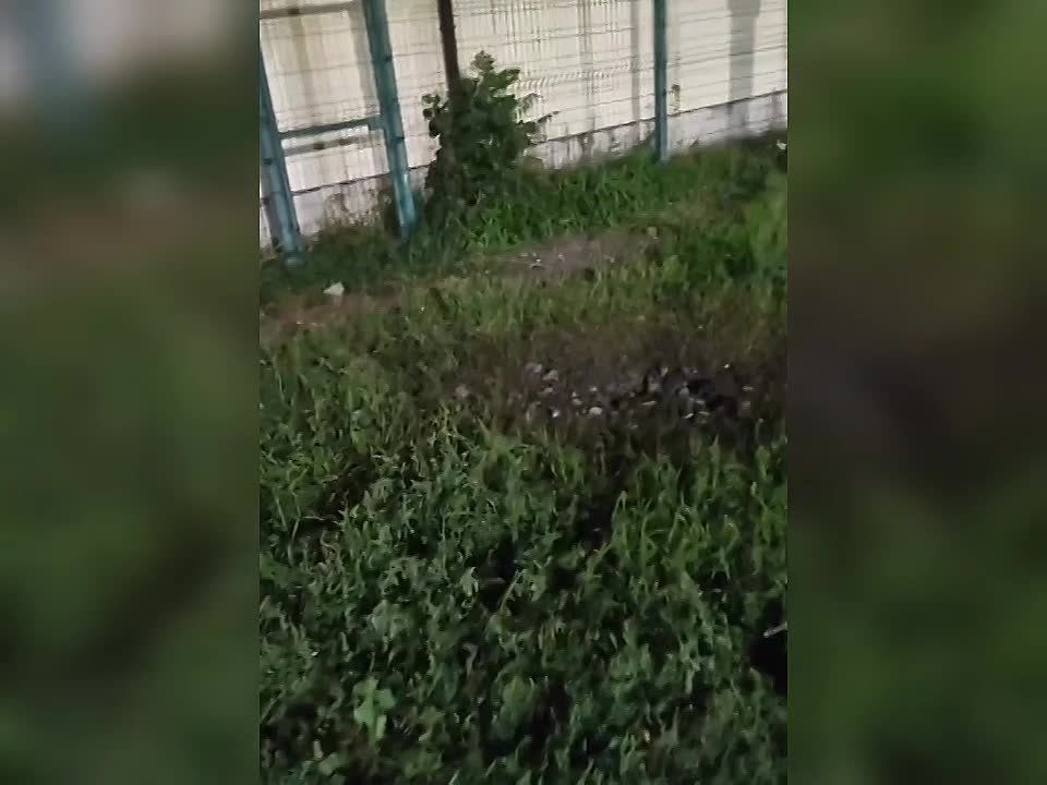 ��� ��������� ������ � ����� ������� � ���������� ���������� ��� ������ � ������������� ����� ��� ������ � �������