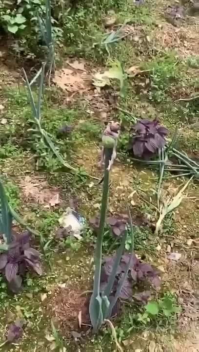 ������, ������, �������� ����!! ����� ��� ��������� ������ ���, ����� ���� ����� ���������!)