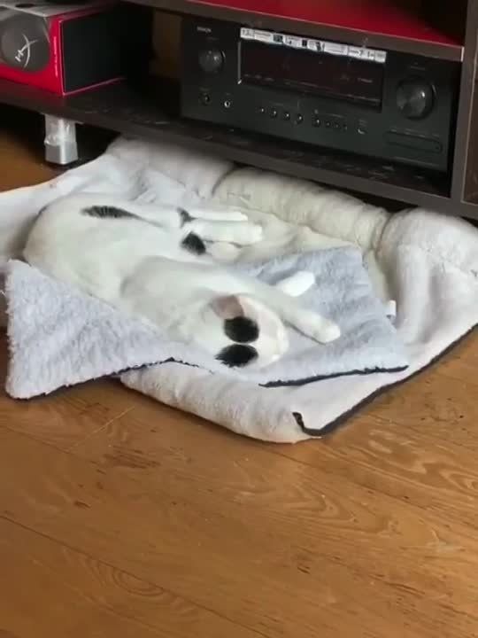 �����, ���� �����.... ������-������.... � ����� ��� ������ ������� ���... ��� - ���!