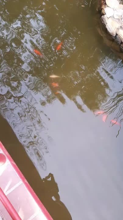 �� "������ ������" � ����� �������� ����� ��������� ������� ����� � �������� �������