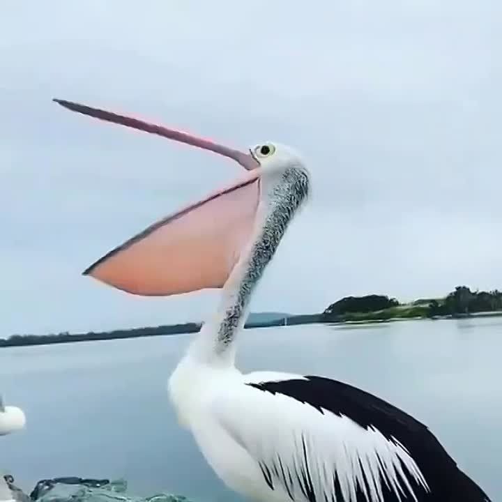 ��� ���������!. �� �����-������ ������, ��� ������ �������?