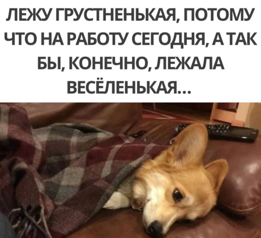 � ������ ����� ����-����-����!