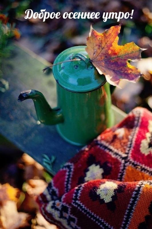 � ������ ����� �������� ���