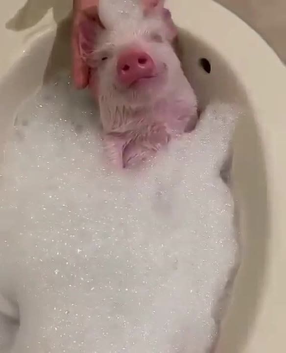 ������ ����� ���� � ����� ! ���� ����� !!! ��������� ����, ������� ����!
