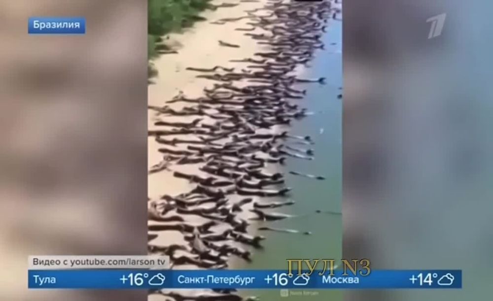 ���������� ������� ��������� �� ��������