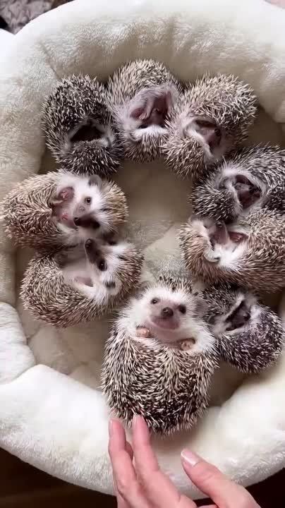 � ����� ����, � ����� �����))) �� ������! ���� ��� �������!