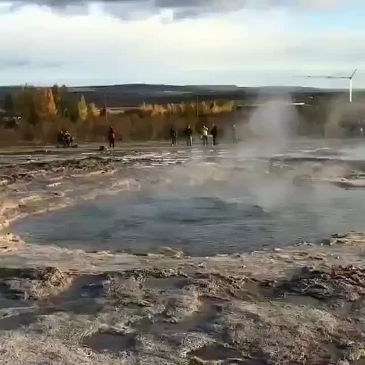 ������� ������! �������, ���� �� ���� ��� ������� !