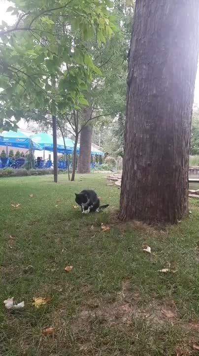 � ����� ����� ����� �������� ����� ��� �������, ������� ������ ���� �������� ���