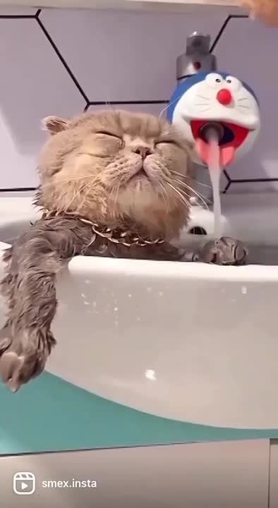 ���� ���������... ��������� � ������ ���������� � ����� ! ���� ��������� ����!